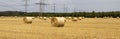 Hay bundles on a harvested field Royalty Free Stock Photo