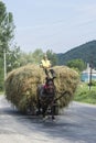 Hay cart in Romania Royalty Free Stock Photo