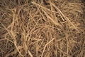 Hay close up bale background wallpaper macro stack beige tangled straw yellow gold