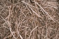 Hay close up bale background wallpaper macro stack beige tangled straw yellow gold