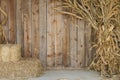 Hay and Corn Stalk background Royalty Free Stock Photo