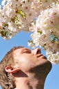 Hay fever Royalty Free Stock Photo
