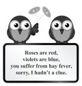 Hay Fever Poem