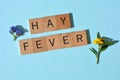 Hay Fever, banner headline with copy space Royalty Free Stock Photo