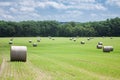 Hay Field Royalty Free Stock Photo