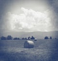 Hay in a field black and white. Royalty Free Stock Photo