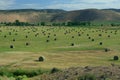 Hay Field with Irrigation and Hay Rolls Royalty Free Stock Photo