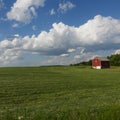 Hay field just cut on New York State farm with iconic red barn