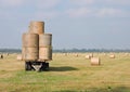 Hay in field Royalty Free Stock Photo