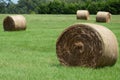 Hay in the field Royalty Free Stock Photo