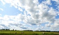 Hay field mown into round hay bales FingerLakes