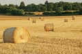 Hay Field with Trees