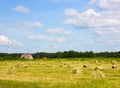 Hay field, wind generators