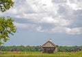 Hay fields near the sugar cane fields. Royalty Free Stock Photo