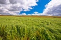 Hay fields under cloudy sky view Royalty Free Stock Photo