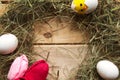 Hay frame, tulips and eggs on wooden background, top view.