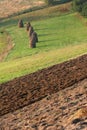 Hay and furrows on the acre