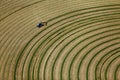 An aerial view of alfalfa hay being harvested.