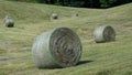 Hay Harvest in the Foothills of the Appalachian Mountains Royalty Free Stock Photo