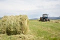 Hay harvesting Royalty Free Stock Photo