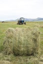 Hay harvesting Royalty Free Stock Photo