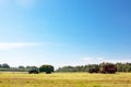 Hay harvesting in the field.