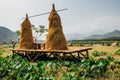 Hay, haystack, agriculture, cart. Rural landscape, farm village. Beautiful asian landscape