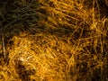 Hay for horses close up