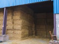 Hay in a large barn.