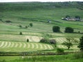Hay making field cheshire black rocks farm