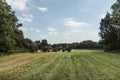 Hay making near munich Royalty Free Stock Photo