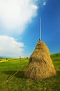 Hay making in old good fashioned way Royalty Free Stock Photo
