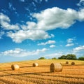 Hay in a meadow, fabulous landscapes