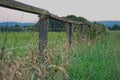 Hay meadow on a late summer evening Royalty Free Stock Photo