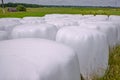 Hay packed in polyethylene PVC packaging lies on the field on green grass on a sunny summer day