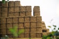 Packed hay in the field Royalty Free Stock Photo