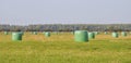 Hay pieces in meadow, Lithuania Royalty Free Stock Photo