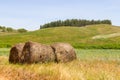 Hay pile in a farm field in Vale Seco, Santiago do Cacem Royalty Free Stock Photo