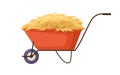 Hay pile in one-wheel barrow. Straw bale, dry wheat heap in agriculture wheelbarrow. Gold crop, fodder in farm