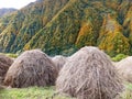 hay piles in the mountains and autumn forest. Gudamakari, Georgia Royalty Free Stock Photo