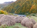 hay piles in the mountains and autumn forest. Gudamakari, Georgia Royalty Free Stock Photo