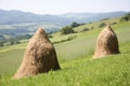 Hay piles on the mountains field Royalty Free Stock Photo