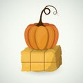 Hay and pumpkin of Thanks given design
