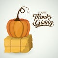 Hay and pumpkin of Thanks given design