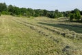 hay put to dry in a field of the Italian countryside Royalty Free Stock Photo