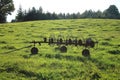 Hay Raker Farm Equipment