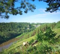 Hay River. Russia, South Ural.