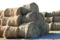 Hay roll bales on countryside field Royalty Free Stock Photo