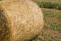 Hay roll closeup, coiled up with rope Royalty Free Stock Photo