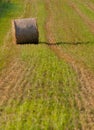 Hay roll on field Royalty Free Stock Photo